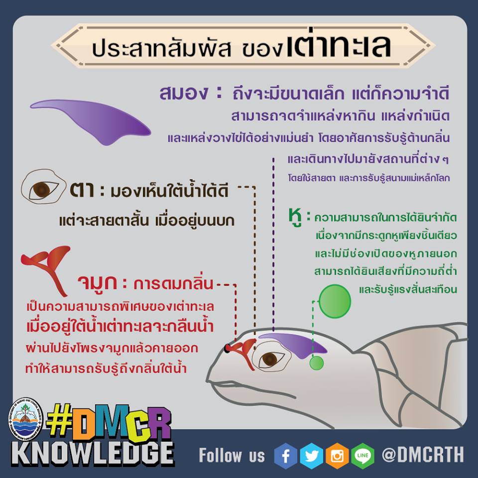 เกร็ดความรู้ ทช.