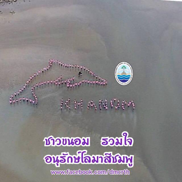 สวัสดี พี่น้องเครือข่ายรักษ์ทะเลไทย