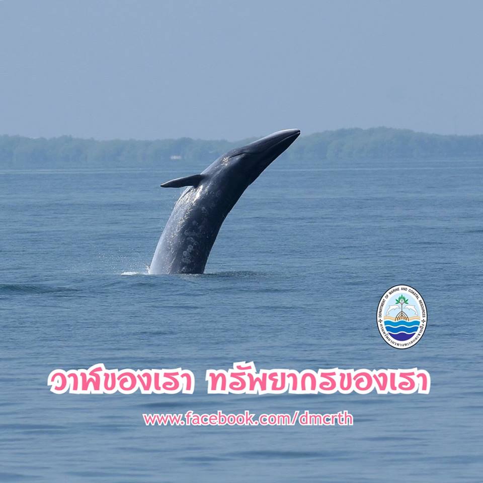 เกร็ดความรู้ ทช.