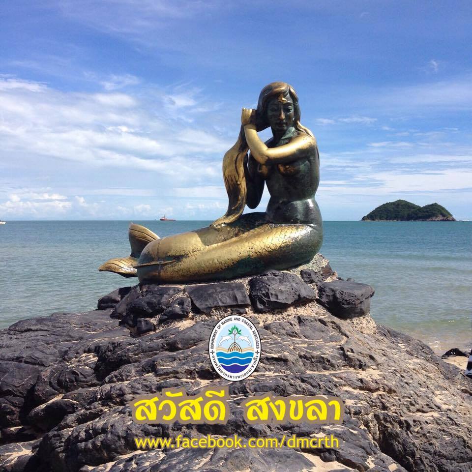 สวัสดี พี่น้องเครือข่ายรักษ์ทะเลไทย