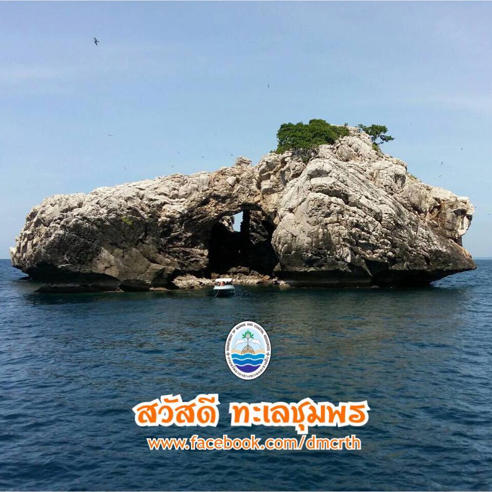 สวัสดี พี่น้องเครือข่ายรักษ์ทะเลไทย