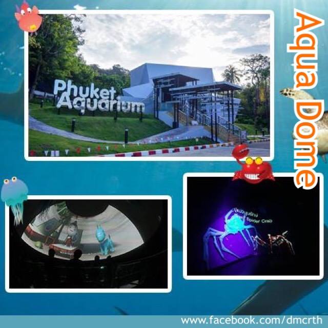 มารู้จัก AQUA DOME ที่ภูเก็ตกันหน่อยครับ