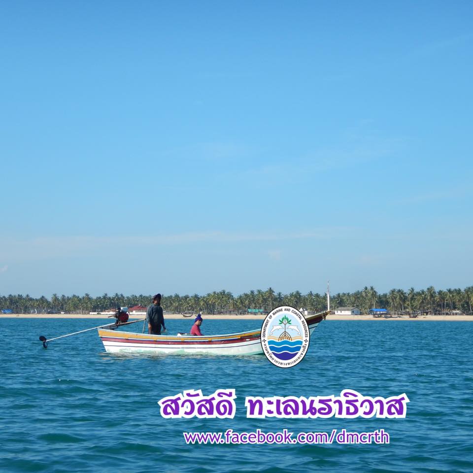 สวัสดี พี่น้องเครือข่ายรักษ์ทะเลไทย