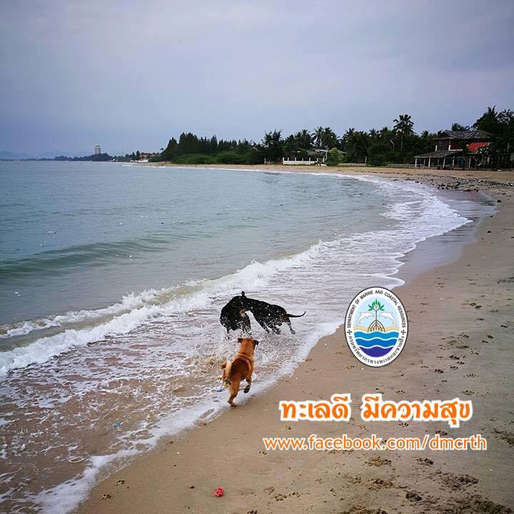 สวัสดี พี่น้องเครือข่ายรักษ์ทะเลไทย
