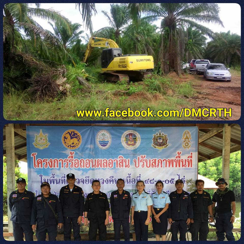 รื้อถอนต้นปาล์มและปรับพื้นที่ คืนป่าชายเลนกระบี่