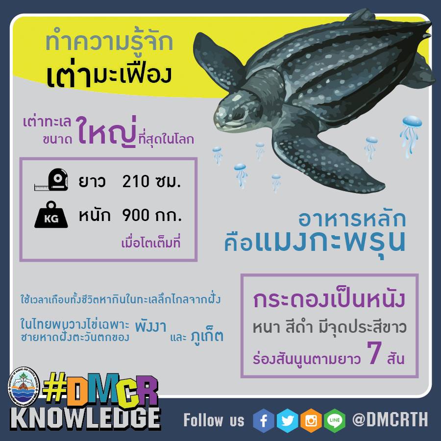 เกร็ดความรู้ ทช.