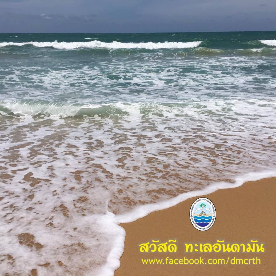 สวัสดี พี่น้องเครือข่ายรักษ์ทะเลไทย