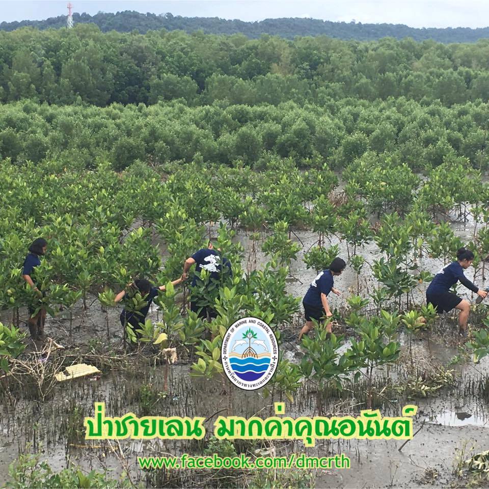 สวัสดี พี่น้องเครือข่ายรักษ์ทะเลไทย