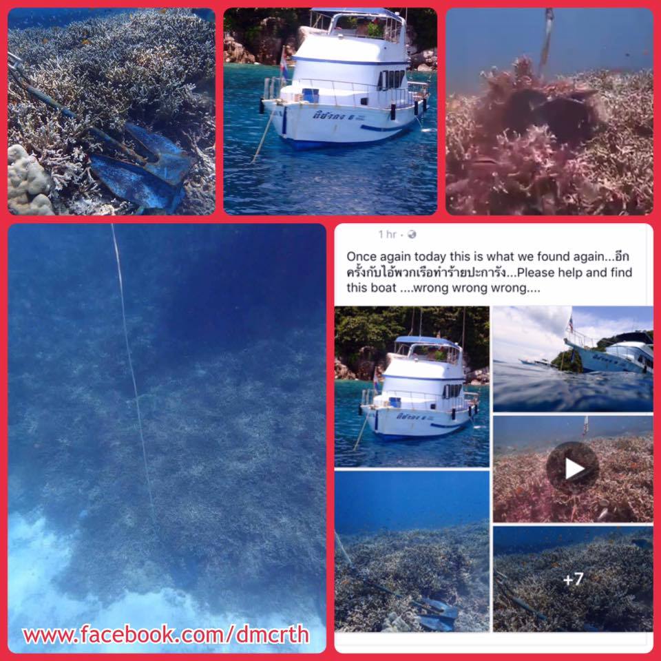 ติดตามเรือทิ้งสมอในแนวปะการัง เกาะราชาน้อย ภูเก็ต