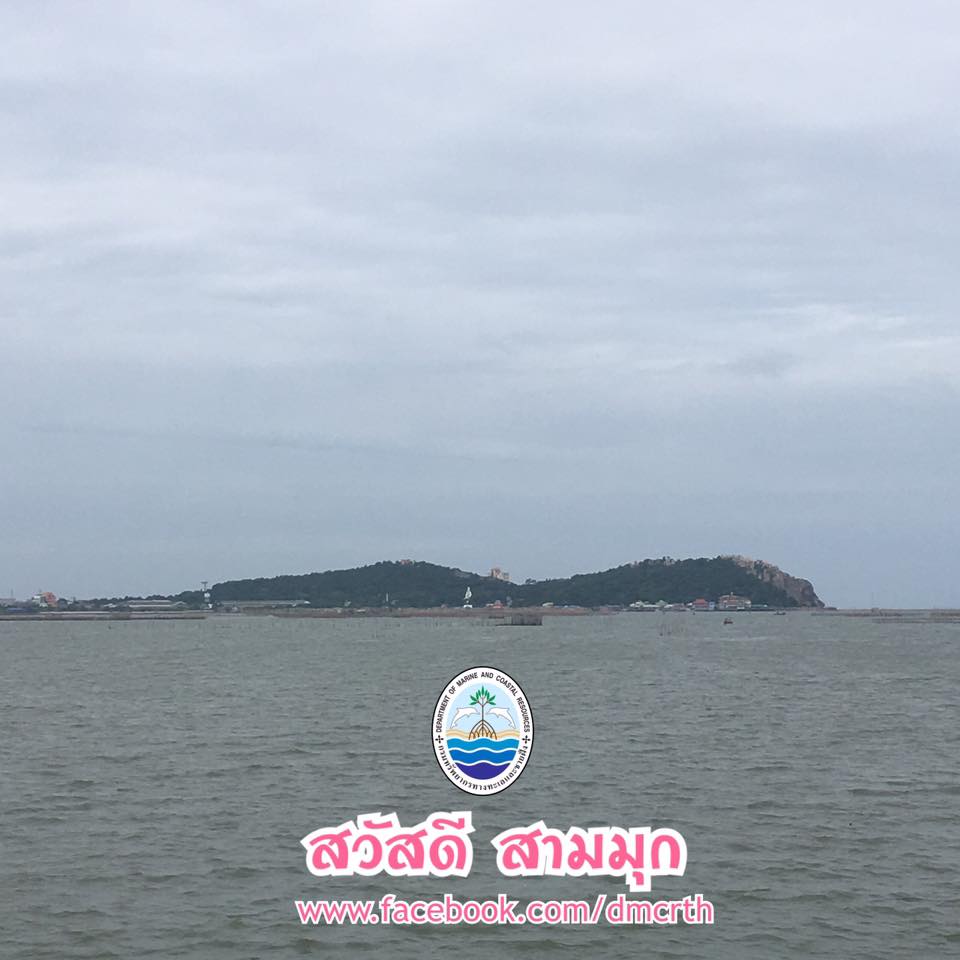 สวัสดี พี่น้องเครือข่ายรักษ์ทะเลไทย