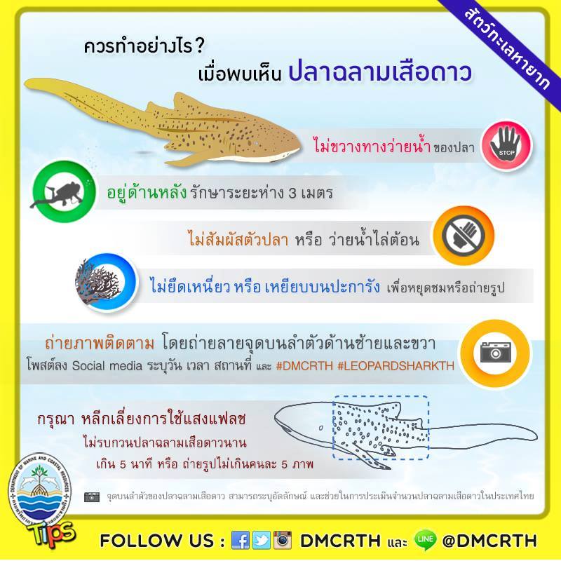 เกร็ดความรู้ ทช.