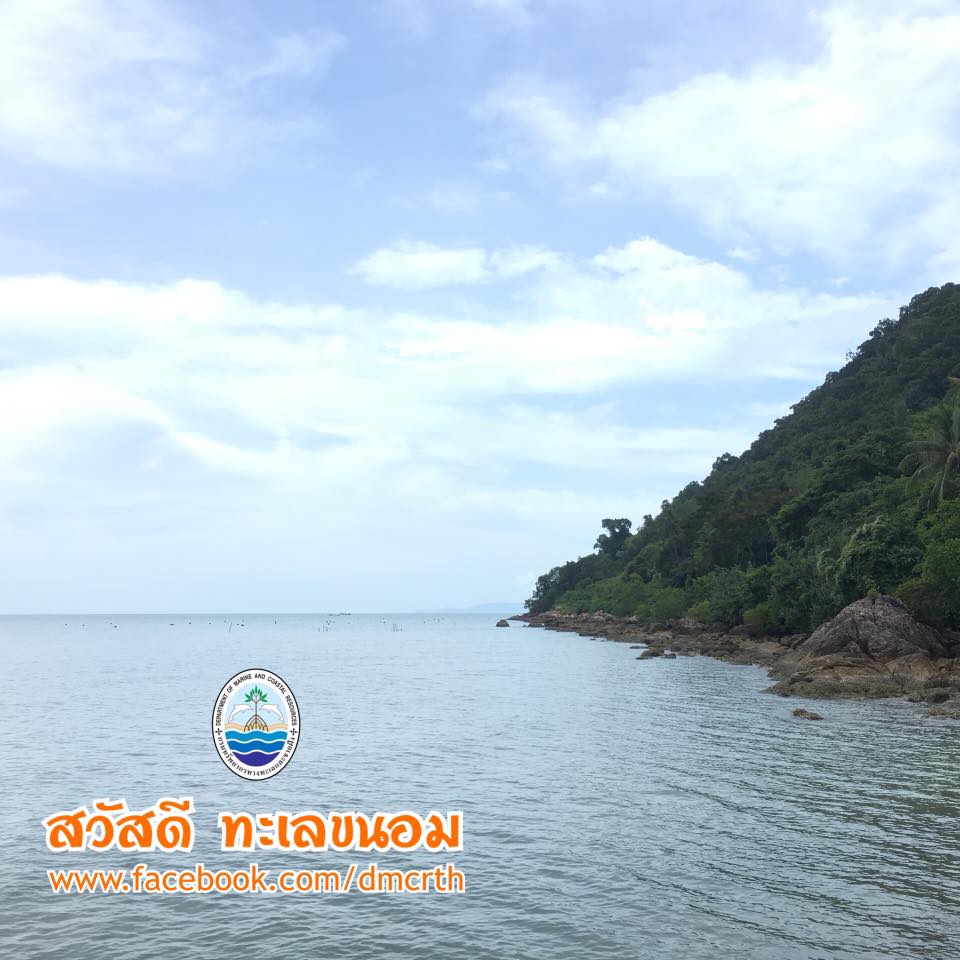 สวัสดี พี่น้องเครือข่ายรักษ์ทะเลไทย