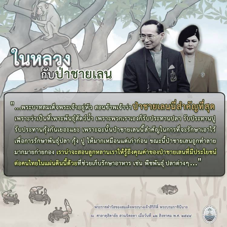 สวัสดี พี่น้องเครือข่ายรักษ์ทะเลไทย