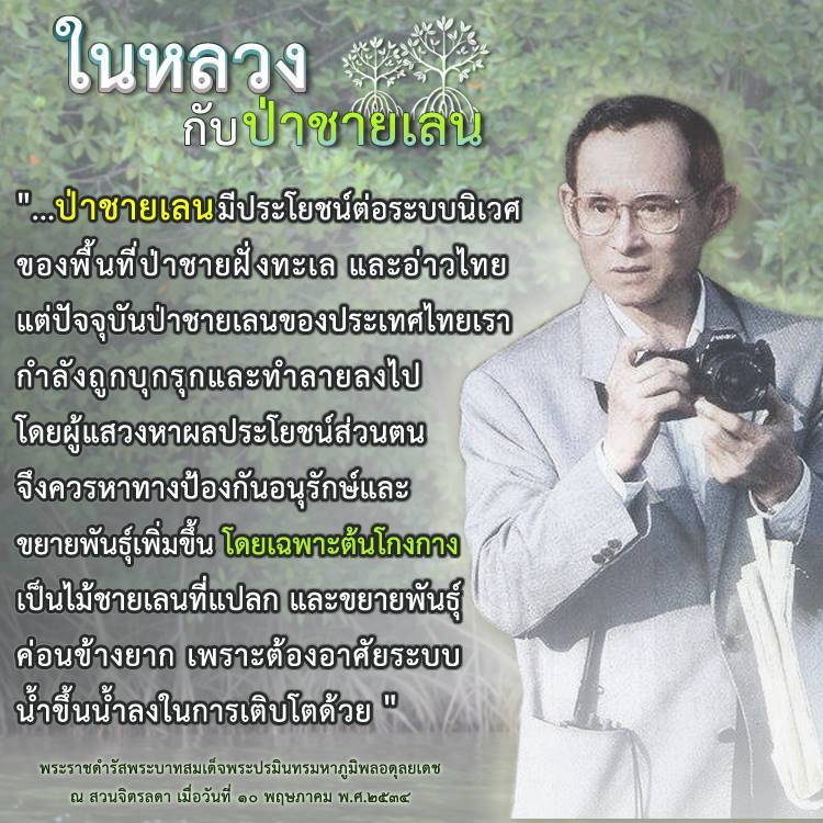 สวัสดี พี่น้องเครือข่ายรักษ์ทะเลไทย