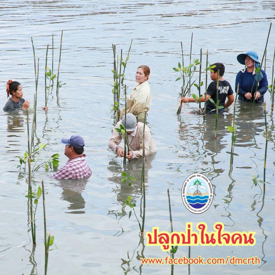 สวัสดี พี่น้องเครือข่ายรักษ์ทะเลไทย