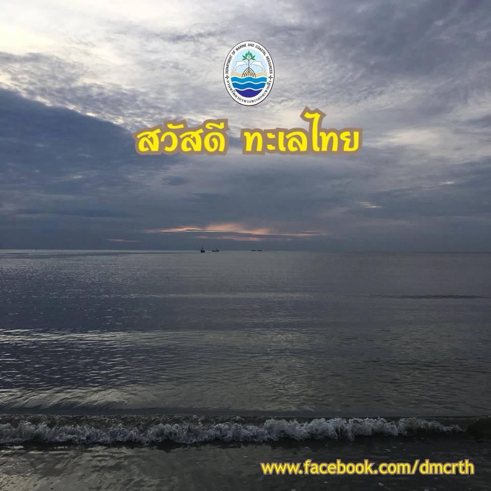 สวัสดี พี่น้องเครือข่ายรักษ์ทะเลไทย