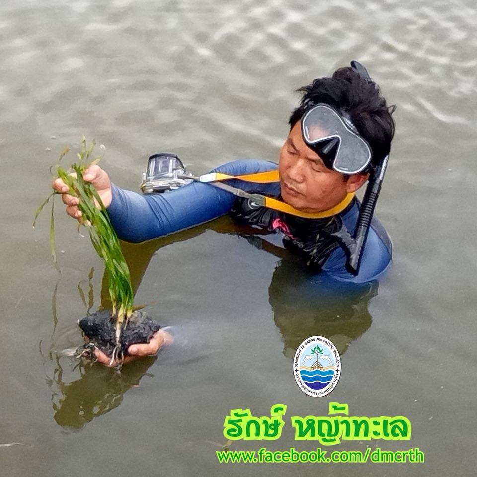 สวัสดี พี่น้องเครือข่ายรักษ์ทะเลไทย
