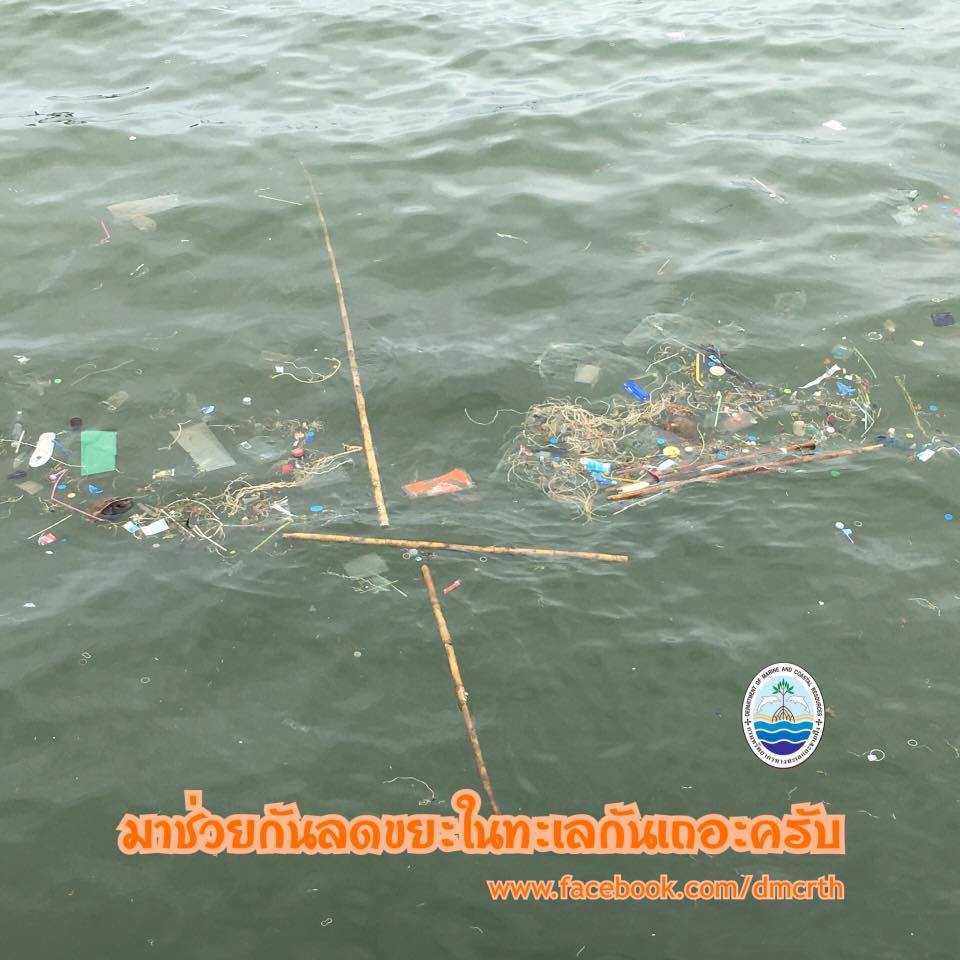 สวัสดี พี่น้องเครือข่ายรักษ์ทะเลไทย