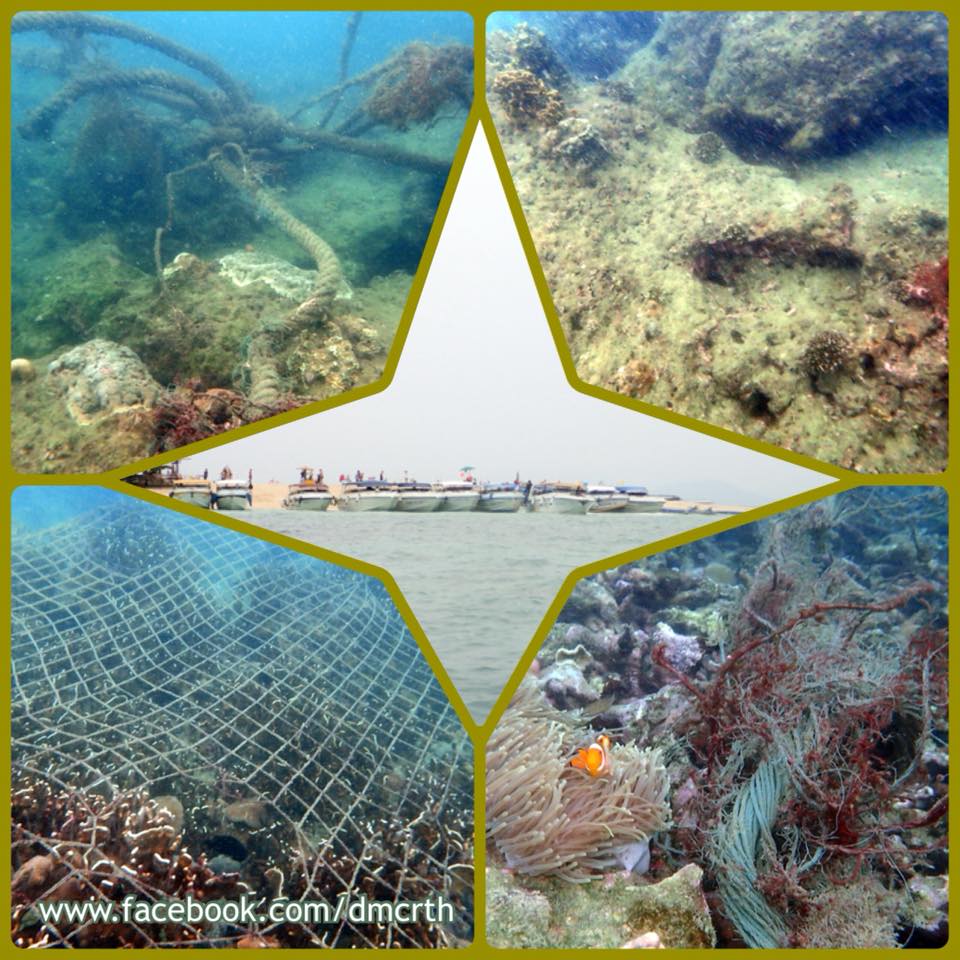 ผลการสำรวจปะการัง เกาะไข่นอก เกาะไข่ใน เกาะลีปี จ.พังงา