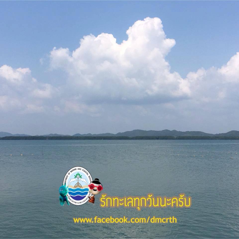 สวัสดี พี่น้องเครือข่ายรักษ์ทะเลไทย