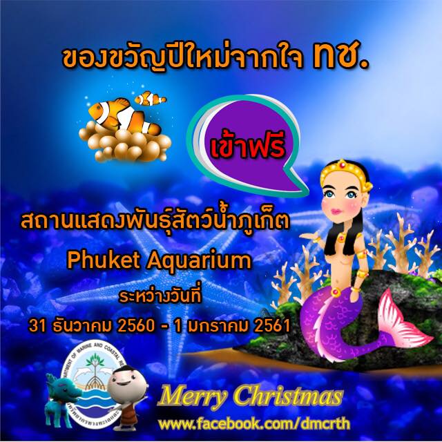 สวัสดี พี่น้องเครือข่ายรักษ์ทะเลไทย
