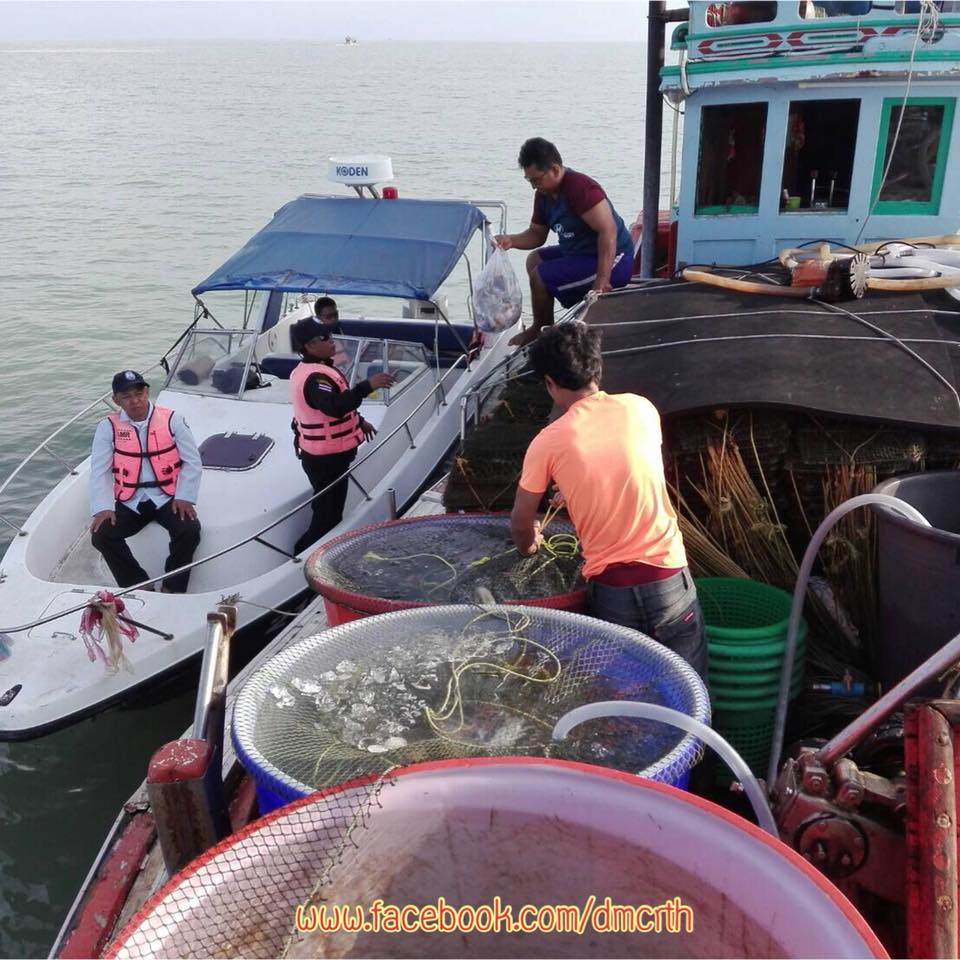 ตรวจเรือประมงปัตตานี ไม่พบผิดกฎหมาย IUU