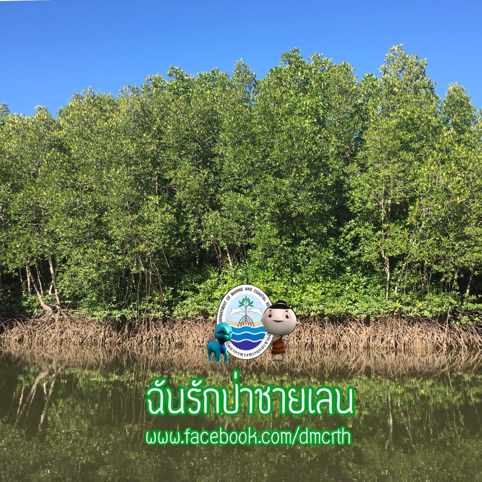สวัสดี พี่น้องเครือข่ายรักษ์ทะเลไทย