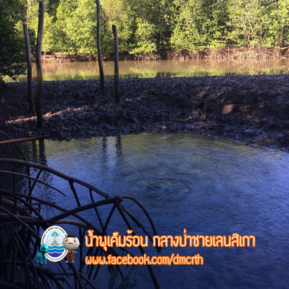 สวัสดี พี่น้องเครือข่ายรักษ์ทะเลไทย