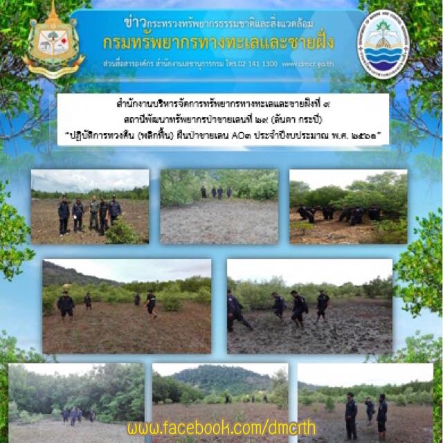 ยึดคืนผืนป่าชายเลน บนเกาะลันตาใหญ่