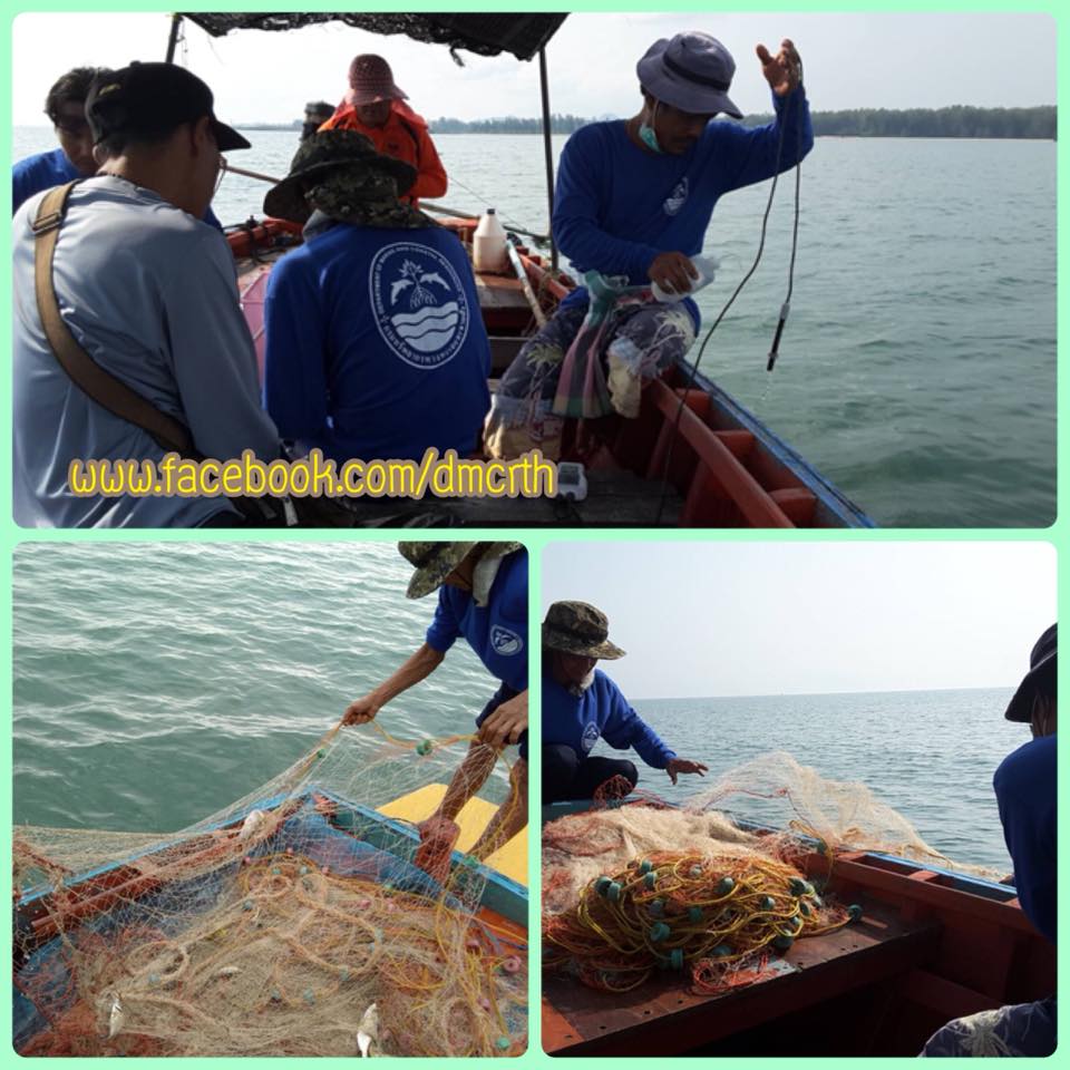 ช่วงนี้ไม่พบแมงกระพรุนพิษในเขตทะเลประจวบคีรีขันธ์