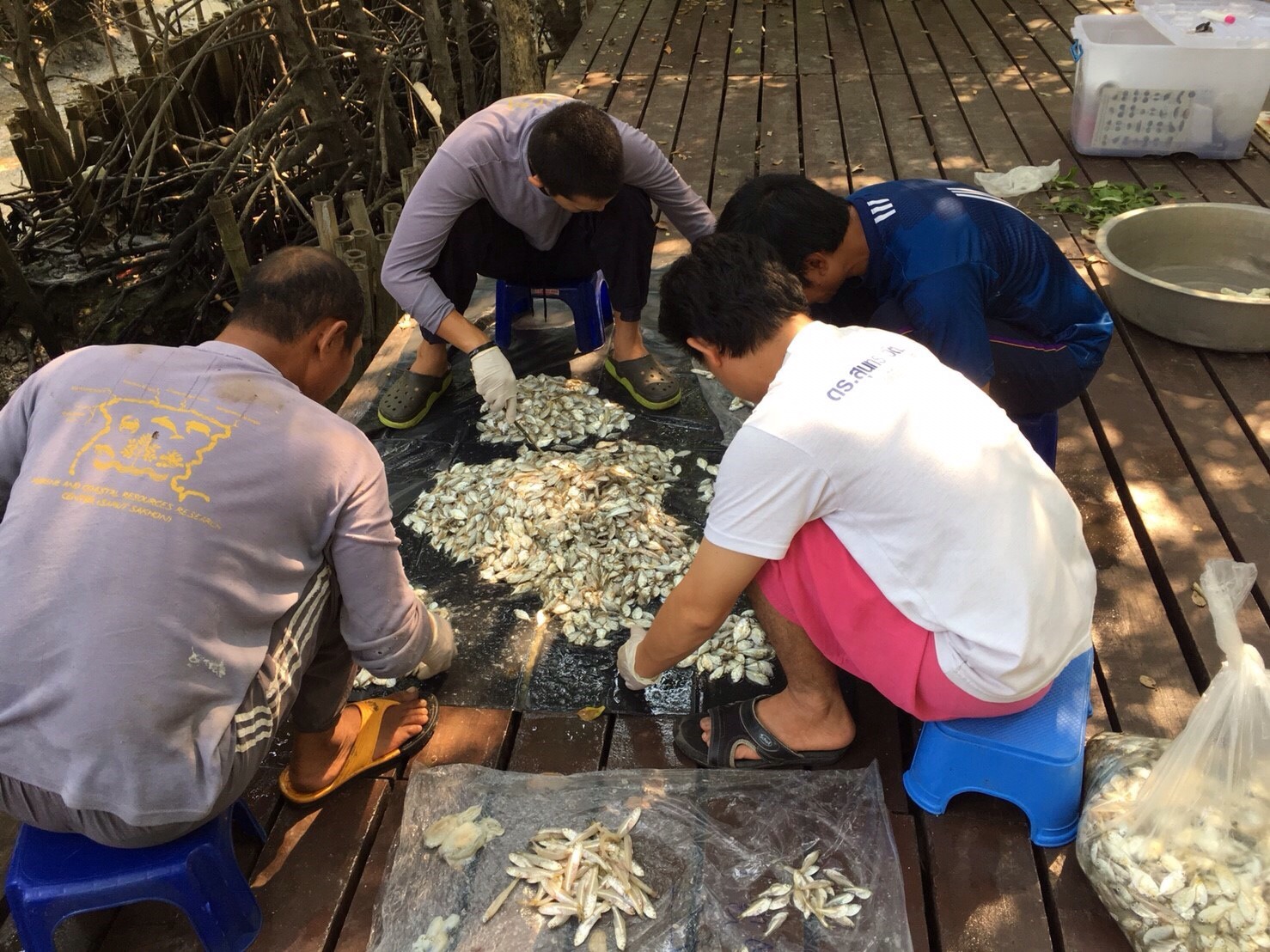 ศูนย์วิจัยฯ ทช.ลงพื้นที่ศึกษาความหลากหลายทางชีวภาพ