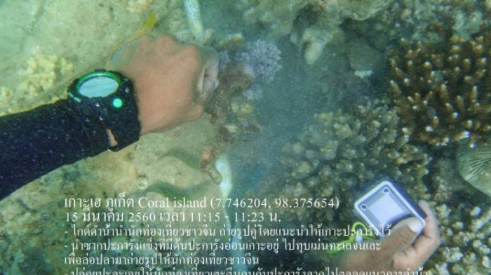 ทช.จ่อเอาผิดไกด์มือทุบ "ปะการังกับหอยเม่น"ล่อปลา