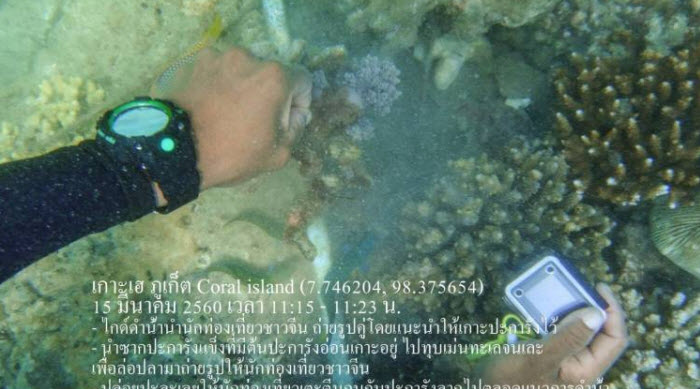 ทช.สามารถจับตัวผู้กระทำผิดใช้เศษปะการังทุบหอยเม่นจนแตกให้นักท่องเที่ยวชาวจีนถ่ายรูป บริเวณเกาะเฮ จังหวัดภูเก็ต เตรียมแจ้งความดำเนินคดีทำความเสียหายต่อสัตว์คุ้มครอง