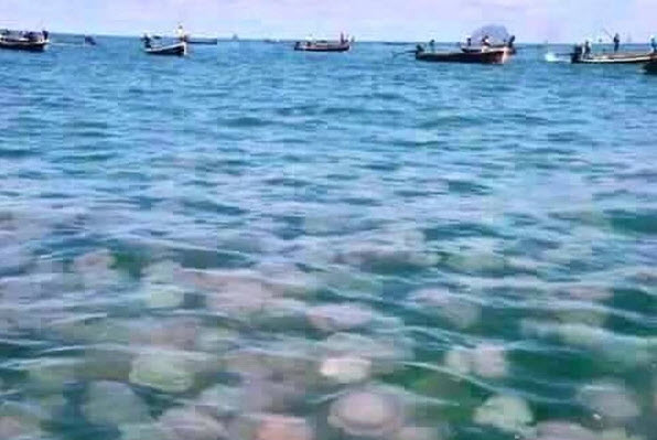 เรื่องที่หลายคนยังไม่รู้! “ท่าเรือถ่านหินกระบี่” จะส่งผลกระทบถึงชามก๋วยเตี๋ยว “เย็นตาโฟ”
