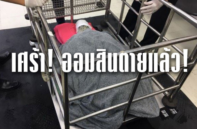 ไร้ปาฎิหารย์ ‘เต่าออมสิน’ ตายแล้ว สัตวแพทย์จุฬาฯแถลง ยื้อสุดความสามารถ