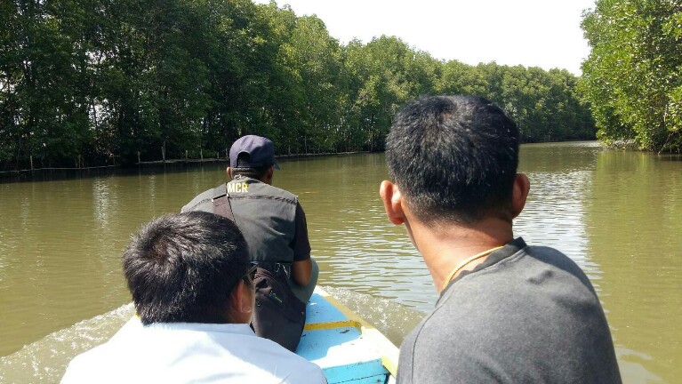 ทช.แจงกรณีเลี้ยงหอยนางรมผูกติดรากโกงกางป่าชายเลนระยอง