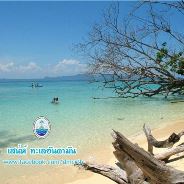 สวัสดี พี่น้องเครือข่ายรักษ์ทะเลไทย