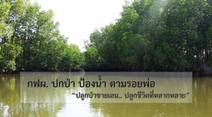 ปลูกป่าชายเลน..ปลูกชีวิตที่หลากหลาย “กฟผ. ปกป่า ป้องน้ำ ตามรอยพ่อ
