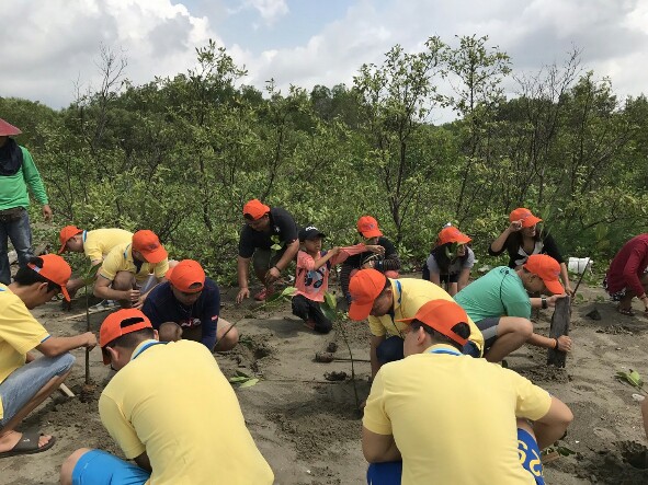 ปลูกป่าชายเลนสืบสานปณิธานงานของพ่อหลวง