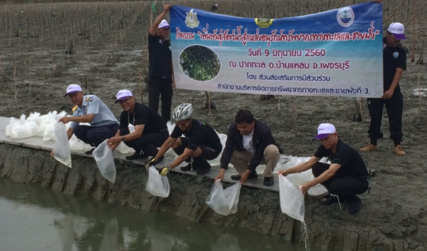 เพิ่มพันธุ์สัตว์น้ำสู่แหล่งอนุรักษ์ทรัพยากรทางทะเลและชายฝั่ง
