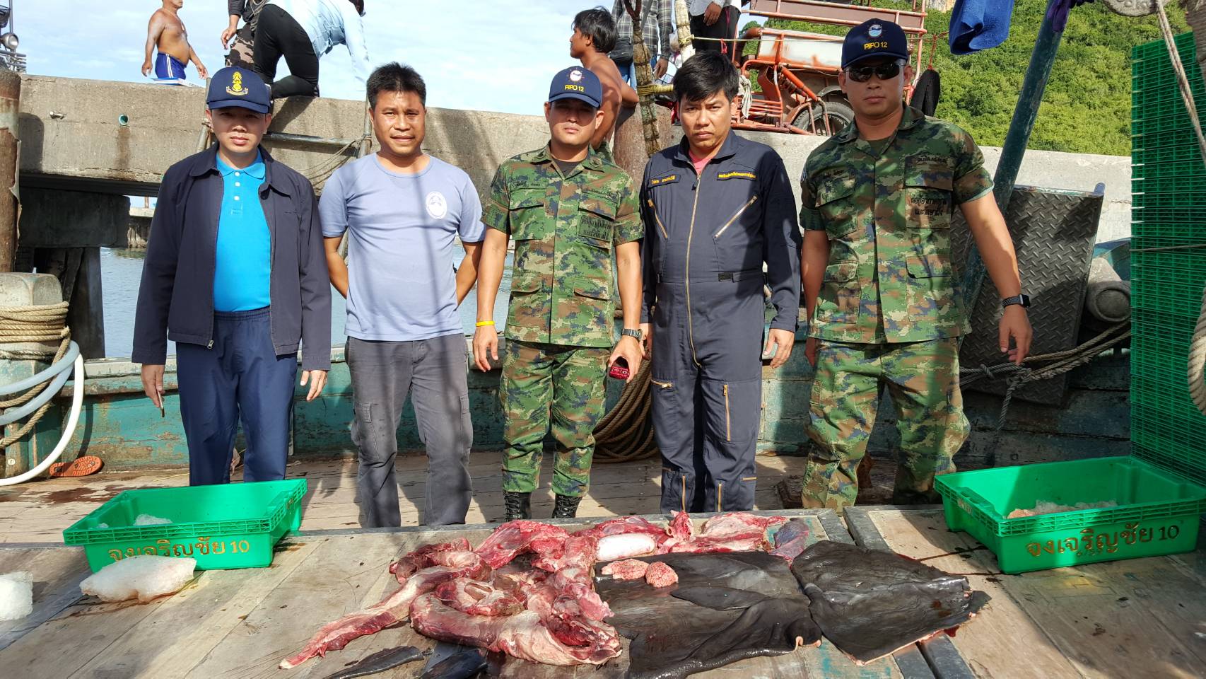 จับเรือประมงชำแหละซากโลมา