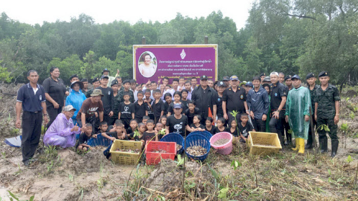 กิจกรรมปลูกบำรุงป่าชายเลนและปล่อยพันธุ์สัตว์น้ำ