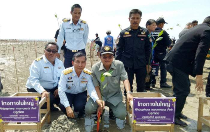 ปลูกต้นโกงกาง ปล่อยพันธุ์สัตว์น้ำเพิ่มสมดุลสู่ธรรมชาติชายฝั่ง