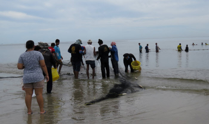 ศูนย์วิจัยฯ ตอนกลาง ลงพื้นที่ตรวจสถานการณ์น้ำเบียดแนวชายหาดหัวหิน จ.ประจวบคีรีขันธ์