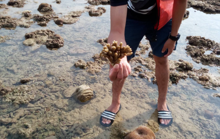 ส่วนอนุรักษ์และฟื้นฟูฯ สำรวจพื้นที่ฟื้นฟูปะการังพื้นที่ภูเก็ต