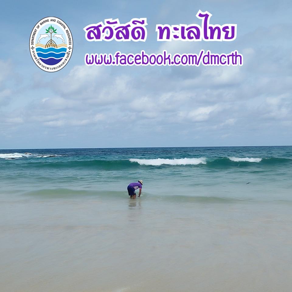 สวัสดี พี่น้องเครือข่ายรักษ์ทะเลไทย