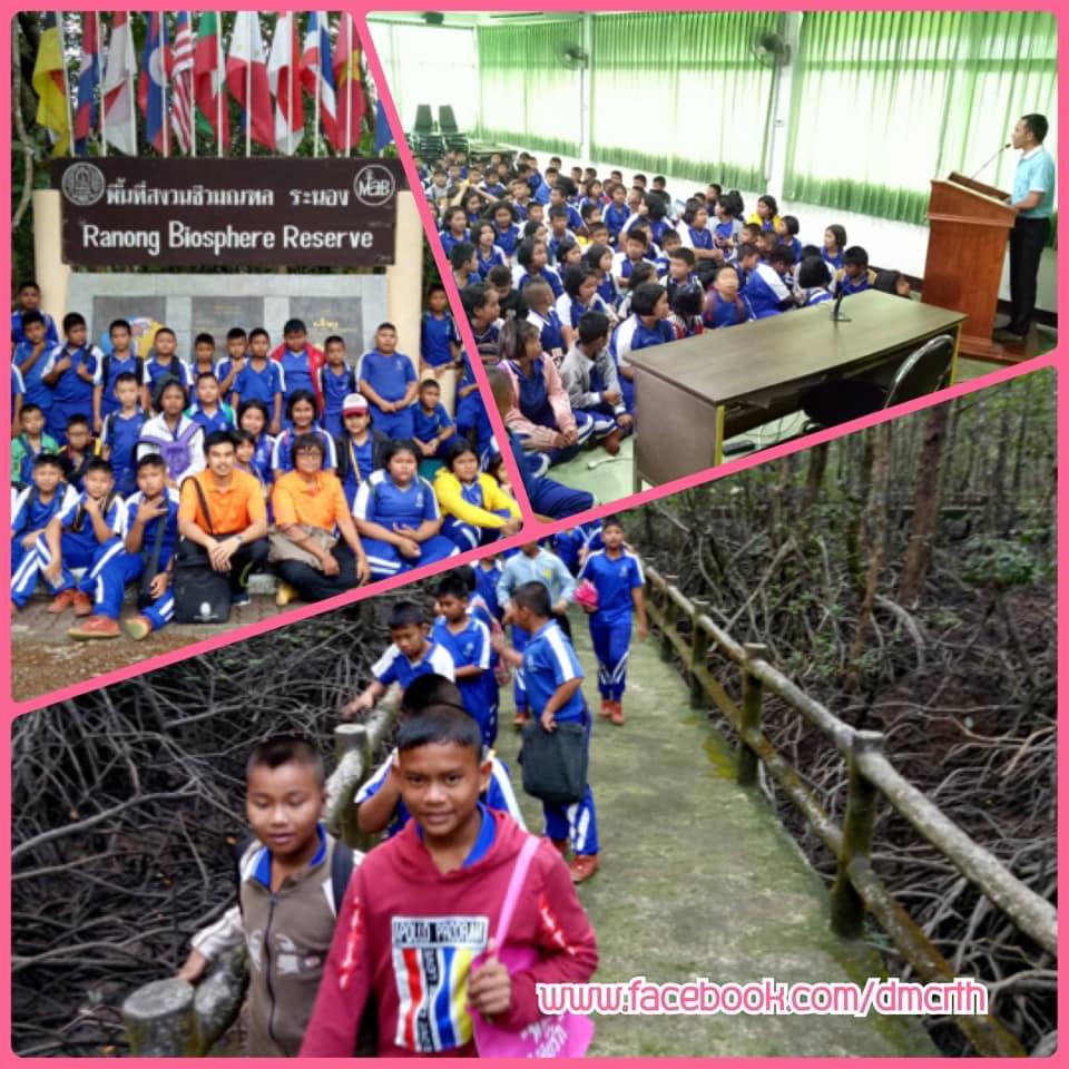 โรงเรียนวัดประสาทนิกร เยี่ยมชมป่าชายเลนมรดกโลก