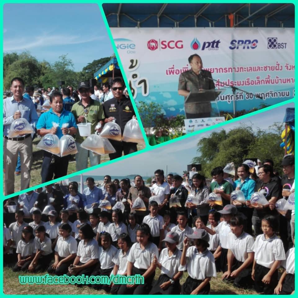 ปล่อยพันธุ์สัตว์น้ำลงทะเล หาดแสงเงินต่อเนื่องปีที่ ๑๖