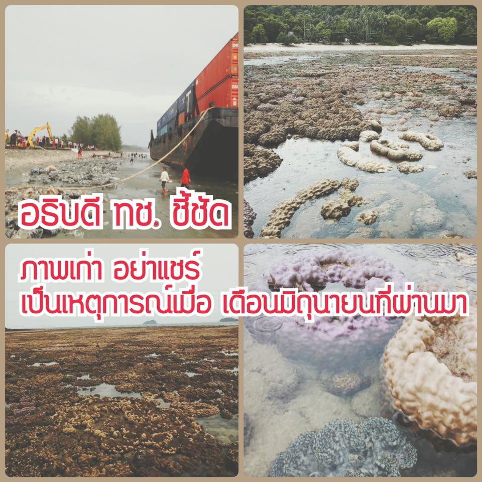 อย่าแชร์ ช่วงนี้ ไม่มีน้ำทะเลลดต่ำผิดปกติ