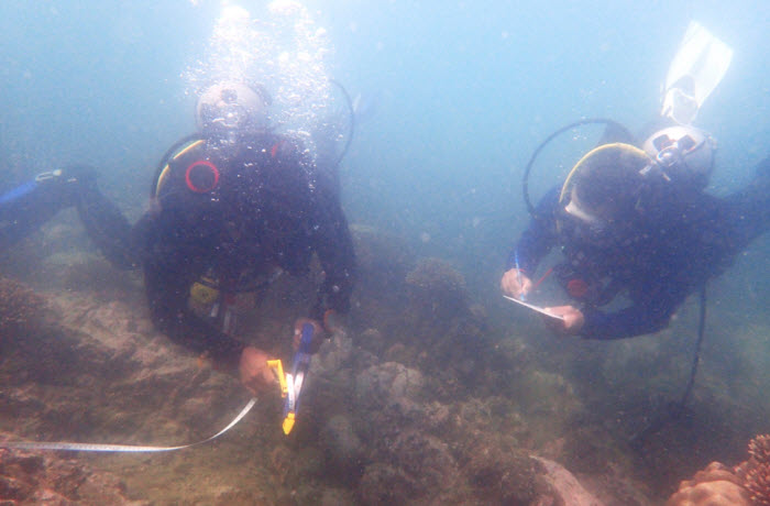 สำรวจสถานภาพแนวปะการังเกาะทะลุ เกาะสิงห์ และเกาะสังข์
